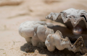 Pearl Diving in the UAE – History and Heritage