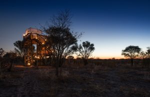 On the trail of wildlife in Botswana