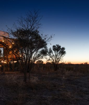 On the trail of wildlife in Botswana