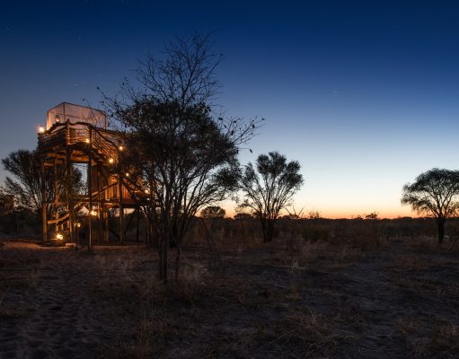 On the trail of wildlife in Botswana