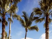 Experience Refined Island Living in Mauritius