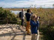 Sustainable Travel in Mallorca