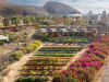 Sustainability in Los Cabos: Eco-Friendly Travel