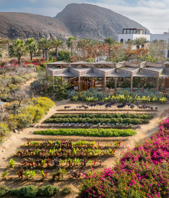 Sustainability in Los Cabos: Eco-Friendly Travel