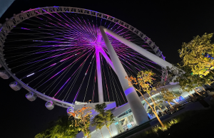 The Dubai Observation Wheel Is Back