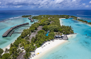 Coral Project Maldives: Sheraton’s Ocean Mission