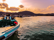 Travel in the UAE: Hidden Gems Beyond the Skyline