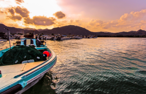 Travel in the UAE: Hidden Gems Beyond the Skyline