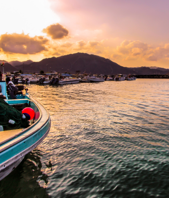 Travel in the UAE: Hidden Gems Beyond the Skyline