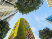 How the Emirates Are Redefining Growth Through Innovation and Green Finance UAE sustainable business