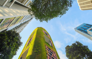 How the Emirates Are Redefining Growth Through Innovation and Green Finance UAE sustainable business