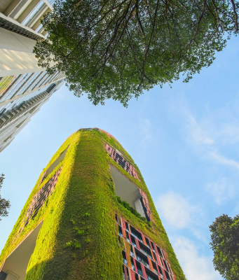 How the Emirates Are Redefining Growth Through Innovation and Green Finance UAE sustainable business
