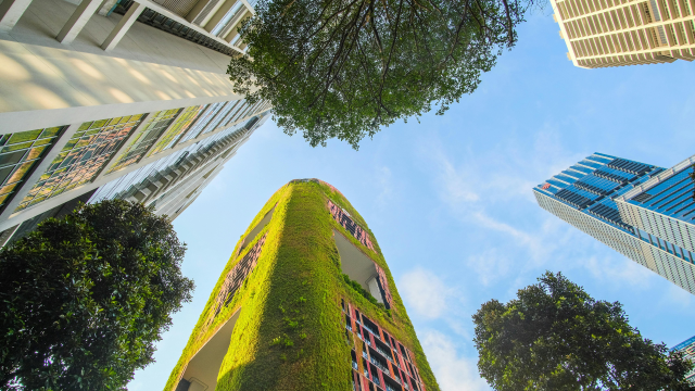 Untitled-design-15 UAE sustainable business