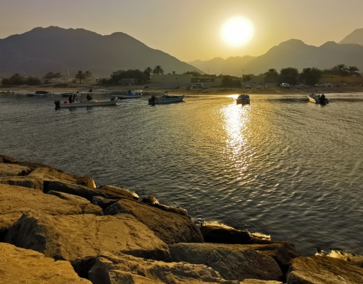 Fujairah’s Rich Nature: Where Mountains Meet the Sea
