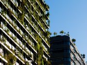 Sustainable Luxury in Hospitality: A New Standard for Modern Travel