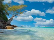 The Rise of Experiential Luxury: Memories Over Material Goods