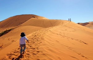 Camping With Kids UAE: Family Adventures Under the Stars © Canva