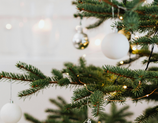 Festive Things to Do in Dubai This Christmas © Canva