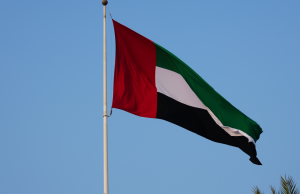 UAE National Day Dubai Mega Sale © Canva