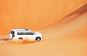 Things to Do in Dubai This Weekend: Your Guide to Festive Fun and City Highlights © Canva