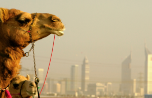 A Garden Escape Pops Up at Nad al Sheba Mall © Canva